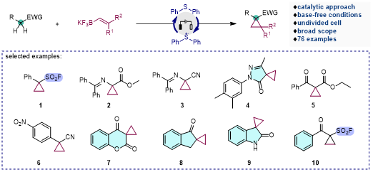 公司硕士研究生在《Nature...